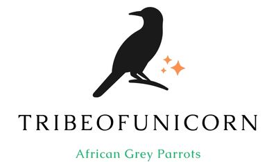 TribeofUnicorn African Grey Parrots For Sale
