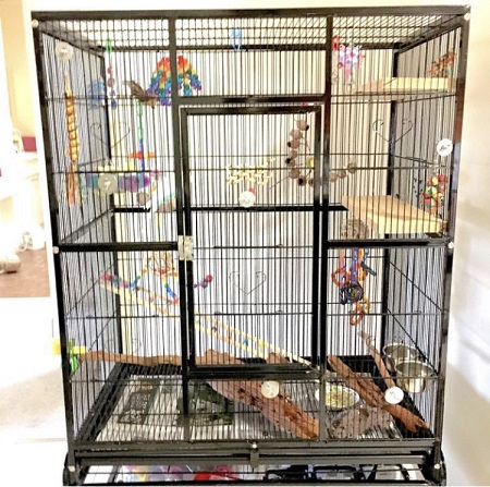 African grey parrot cage. Post photo